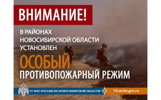 Об установлении с 11 апреля 2025 года на территории Доволенского, Кочковского районов Новосибирской области пожароопасного сезона
